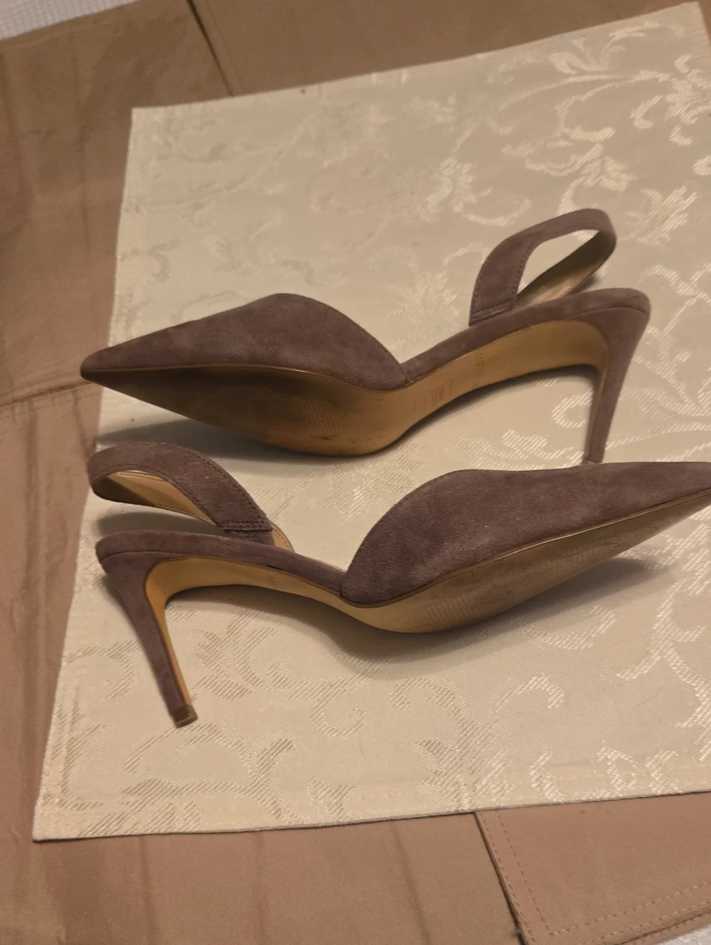 Ann Taylor ann taylor